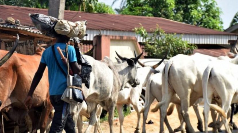 ruga settlement