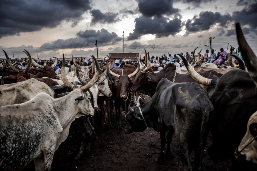 ruga settlement in nigeria